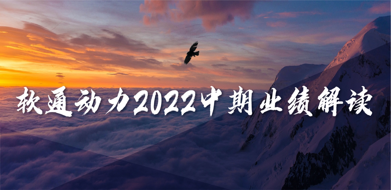 bodog博狗动力2022中期业绩：务实敢为，，，营收稳固增添，，，一连优化营业结构